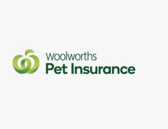 Woolworths Pet Insurance Review; Is it worth it?